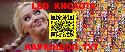 индика Бийск