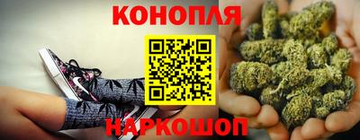 индика Бийск