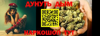 индика Бийск
