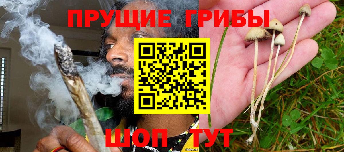 Галлюциногенные грибы Magic Shrooms  Вход с VPN  Киров 