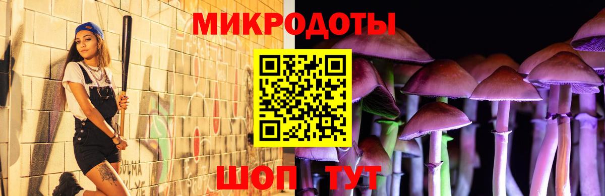 Галлюциногенные грибы Psilocybine cubensis Киров